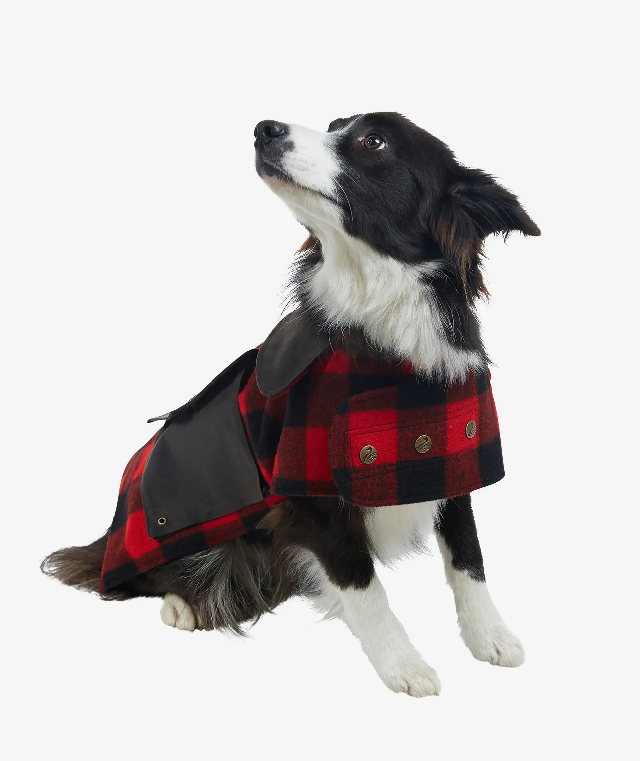 Buy Classic Wool Dog Coat in Red/Black Check - Swanndri NZ