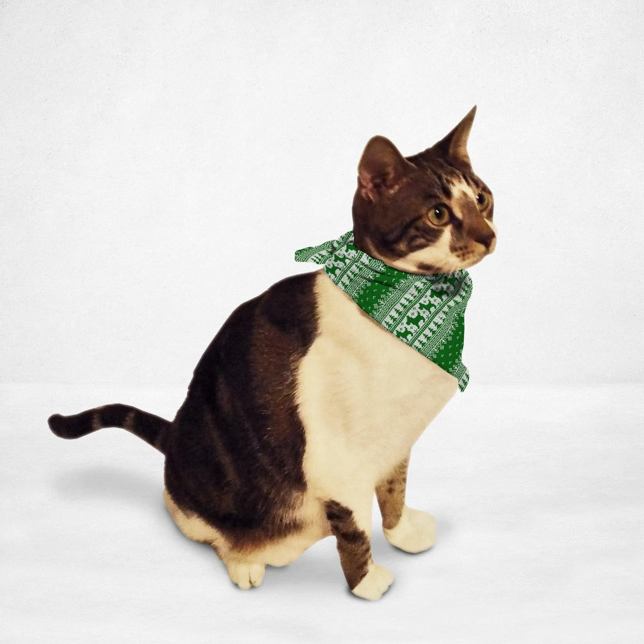 Green Sweater Cat & Dog Bandana