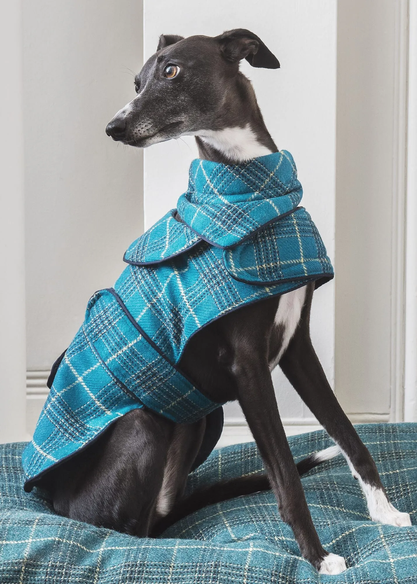 Tweed Medium Dog Coat 